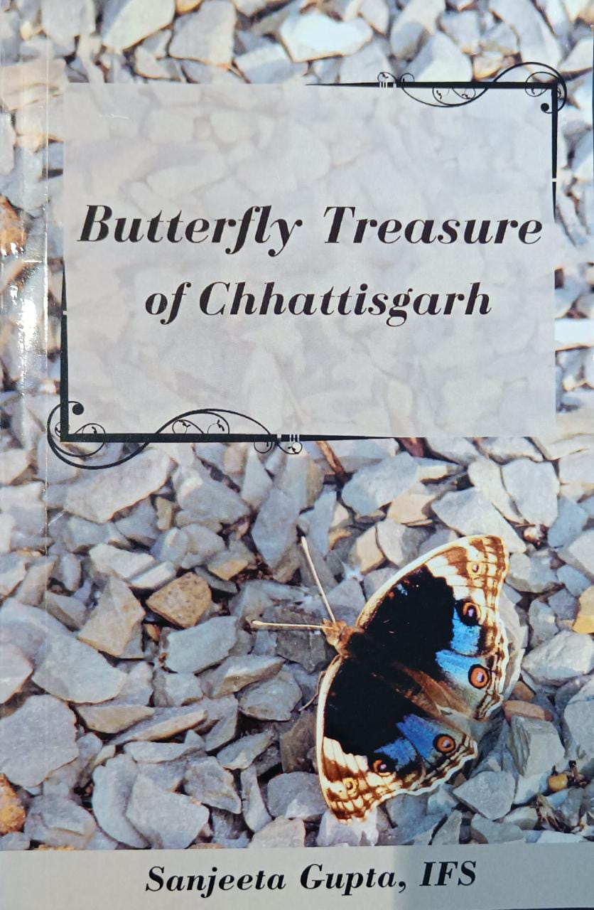 Butterfly Treasure of Chhattisgarh